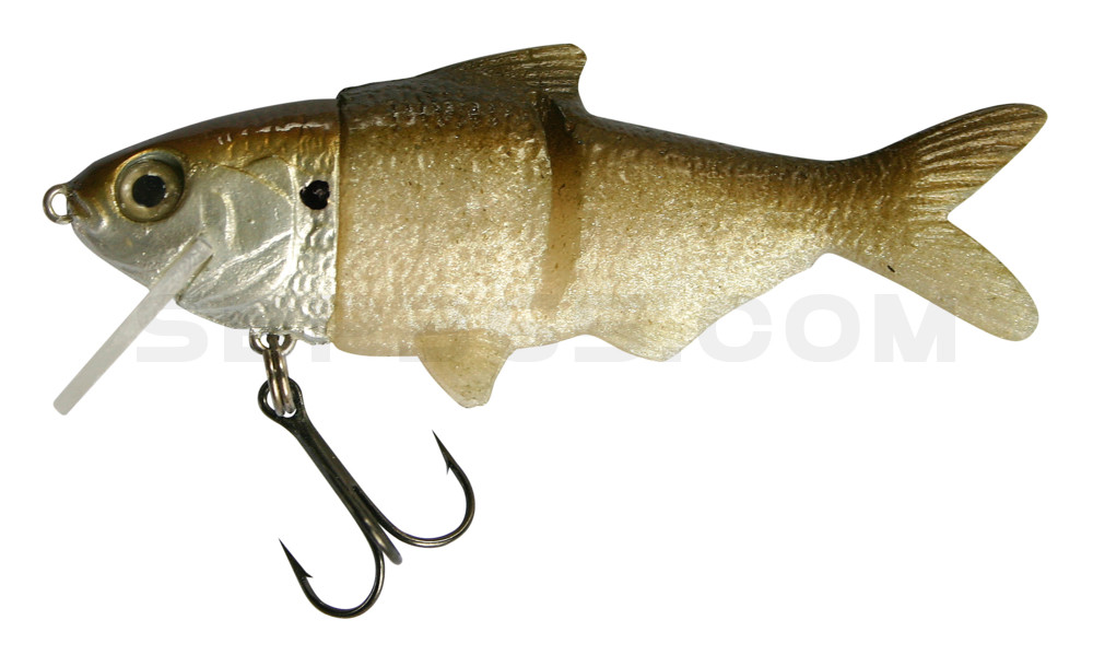 Castaic Hard Head 5,2" (ca. 13 cm)  "Original"Series im Hartschalenblister Gizzard Shad - Green Gizzard Shad, floating