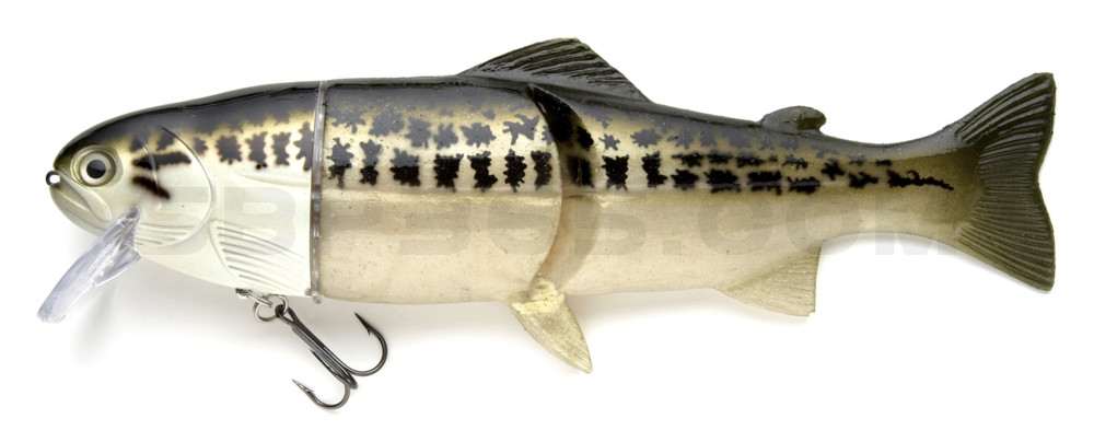 Castaic-Real-Bait - 12" (ca. 30,5cm) floater im Hartschalenblister Baby Bass