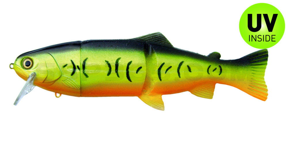 Castaic-Real-Bait - 12" (ca. 30,5cm) floater im Hartschalenblister Firetiger