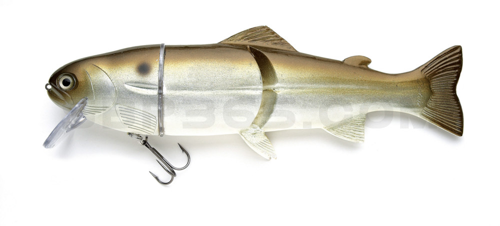 Castaic-Real-Bait - 12" (ca. 30,5cm) floater im Hartschalenblister Green Shad