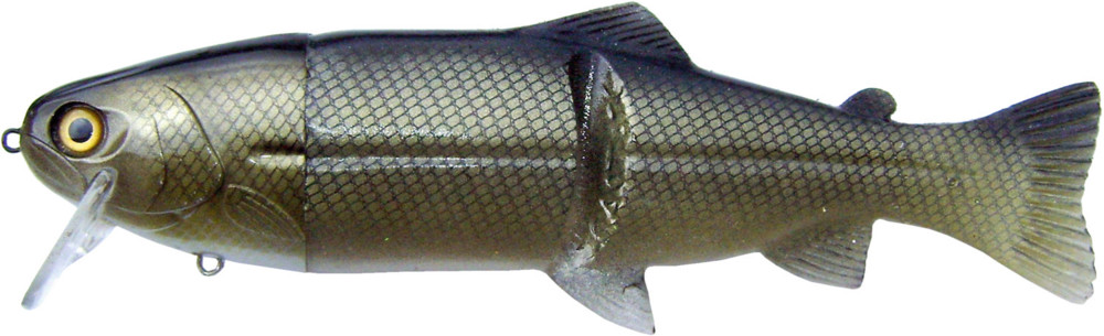 Castaic-Real-Bait - 12" (ca. 30,5cm) floater im Hartschalenblister Roach-Gold