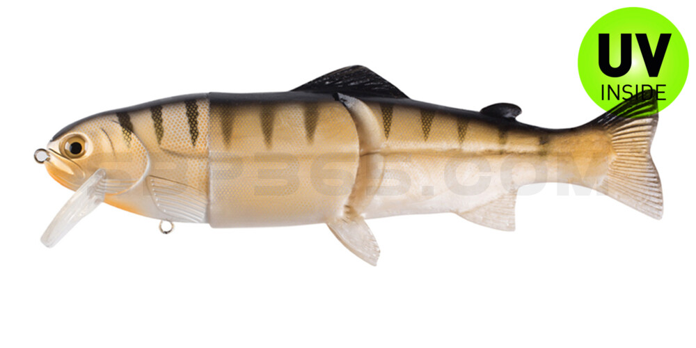 Castaic-Real-Bait - 12" (ca. 30,5cm) floater im Hartschalenblister White Perch