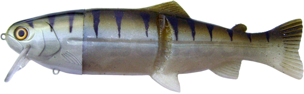 Castaic-Real-Bait - 12" (ca. 30,5cm) floater im Hartschalenblister Zander