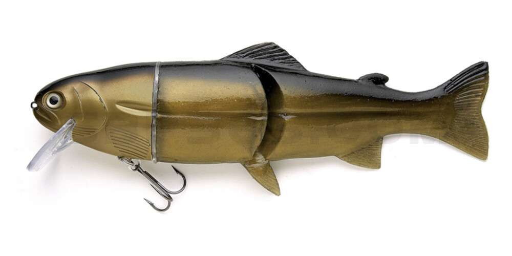 Castaic-Real-Bait - 12" (ca. 30,5cm) slow sinking im Hartschalenblister Golden Shiner