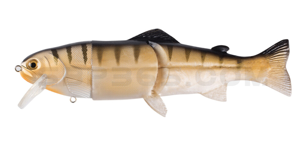Castaic-Real-Bait - 12" (ca. 30,5cm) slow sinking im Hartschalenblister White Perch