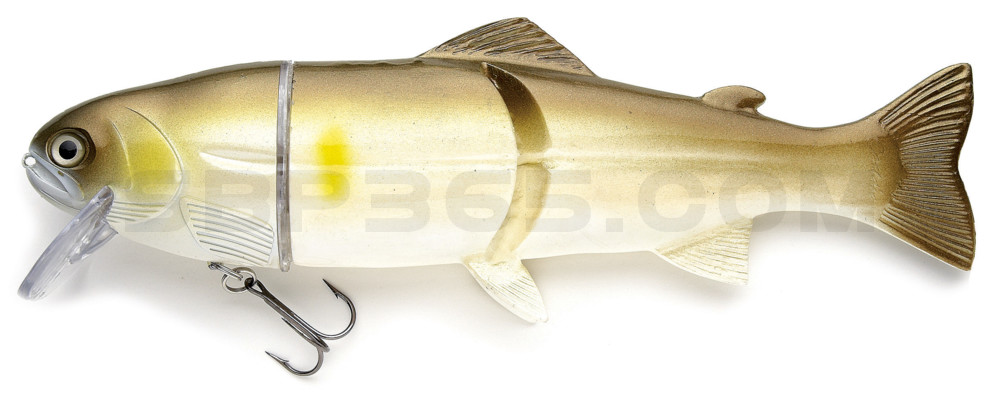 Castaic Real Bait - 6" (ca. 15cm) floater im Hartschalenblister AYU