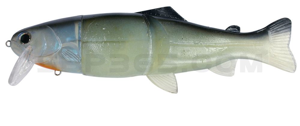 Castaic Real Bait - 6" (ca. 15cm) floater im Hartschalenblister Blue Gill