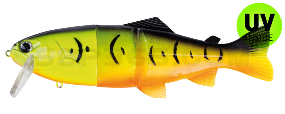Castaic Real Bait 8"(20cm) im Hartschalenblister Fire Tiger - floating