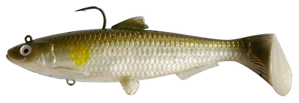 Castaic-Swim-Bait-Sardine-18cm-Ayu im Hartschalenblister sinking