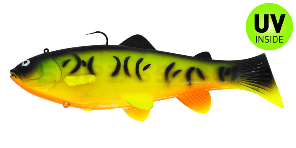 Castaic-Swim-Bait-Trout- 4" (ca. 10cm) sinking im Hartschalenblister Firetiger