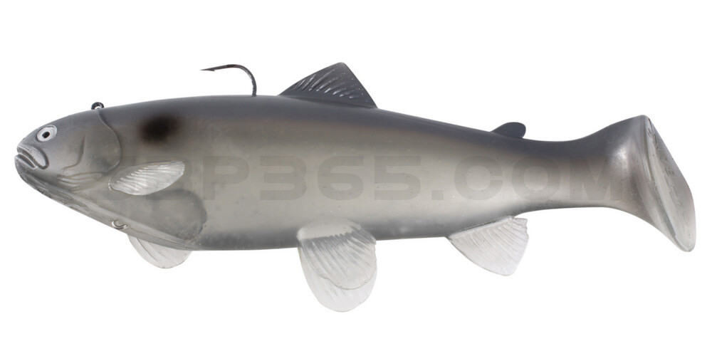 Castaic-Swim-Bait-Trout- 6" (15cm) sinking im Hartschalenblister Ghost Blue Shad