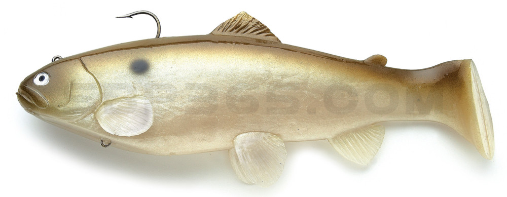 Castaic-Swim-Bait-Trout- 6" (15cm) sinking im Hartschalenblister Green Shad