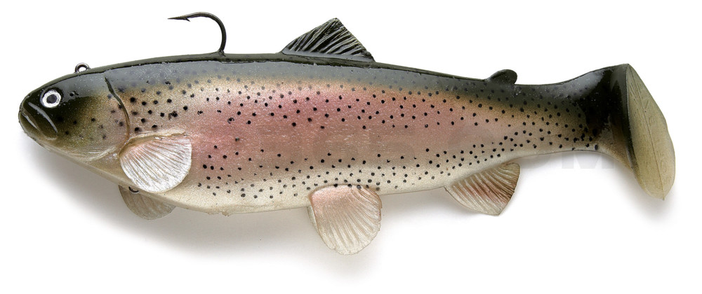 Castaic-Swim-Bait-Trout- 6" (15cm) sinking im Hartschalenblister Rainbow-Trout
