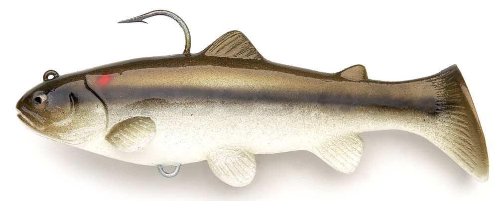 Castaic-Swim-Bait-Trout- 6" (15cm) sinking im Hartschalenblister Red Tail Chub