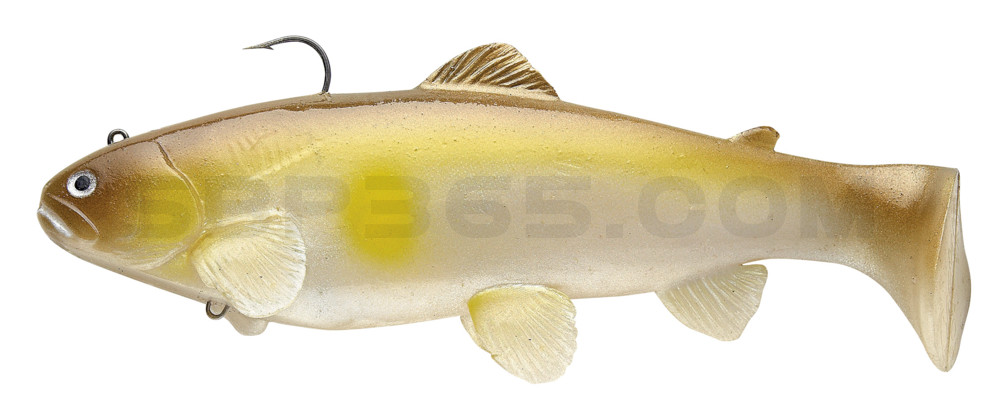 Castaic-Swim-Bait-Trout- 8" (20cm) sinking im Hartschalenblister AYU