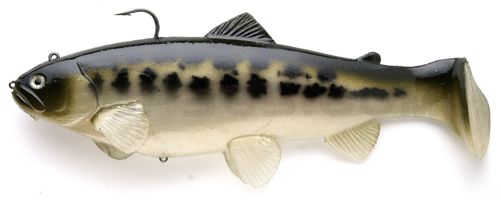 Castaic-Swim-Bait-Trout- 8" (20cm) sinking im Hartschalenblister Baby Bass