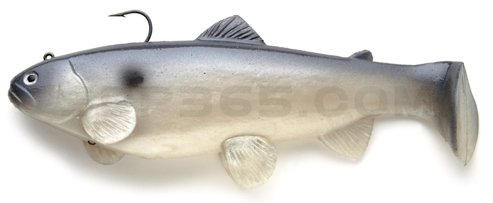 Castaic-Swim-Bait-Trout- 8" (20cm) sinking im Hartschalenblister Blue Shad