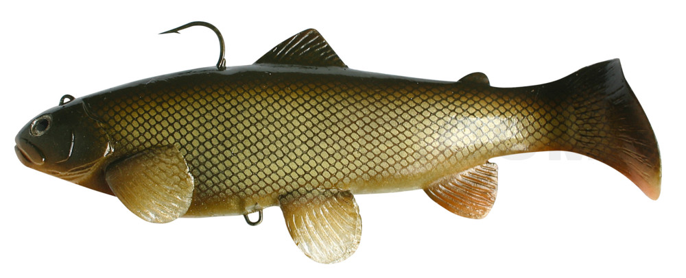 Castaic-Swim-Bait-Trout- 8" (20cm) sinking im Hartschalenblister Carp
