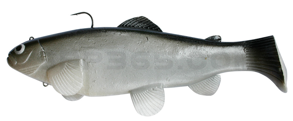 Castaic-Swim-Bait-Trout- 8" (20cm) sinking im Hartschalenblister CISCO