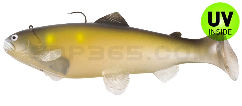 Castaic-Swim-Bait-Trout- 8" (20cm) sinking im Hartschalenblister Ghost AYU