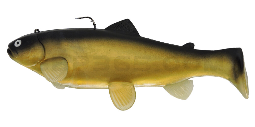Castaic-Swim-Bait-Trout- 8" (20cm) sinking im Hartschalenblister Golden Shiner