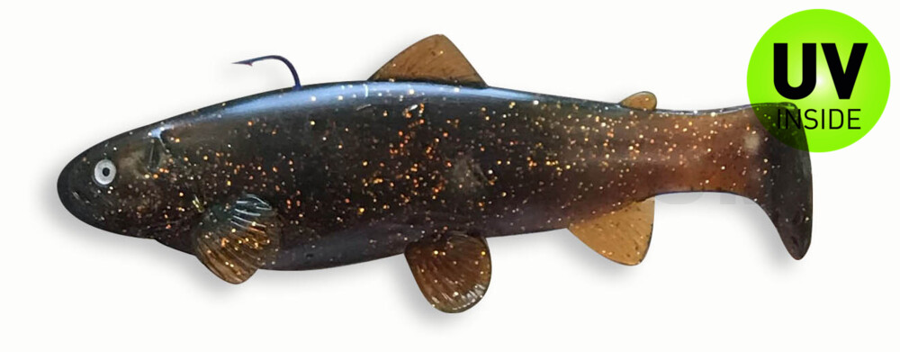 Castaic-Swim-Bait-Trout- 8" (20cm) sinking im Hartschalenblister Motoroil Classic