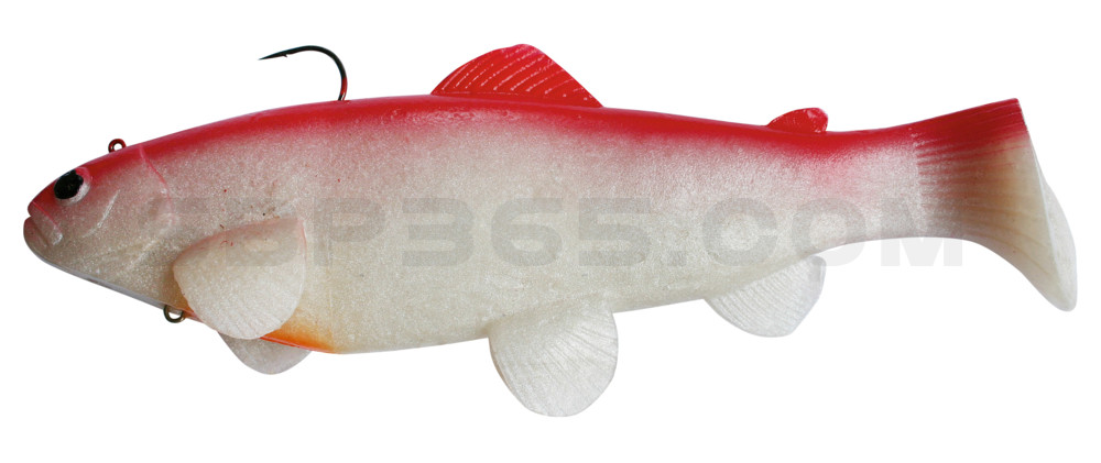 Castaic-Swim-Bait-Trout- 8" (20cm) sinking im Hartschalenblister Red Shad