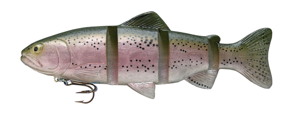 Catch 22 Series 4" slow sinking im Hartschalenblister Rainbow Trout