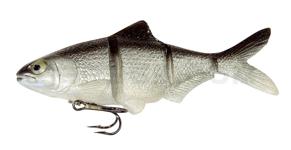Catch 22 Series 6" slow sinking im Hartschalenblister Silver Shiner
