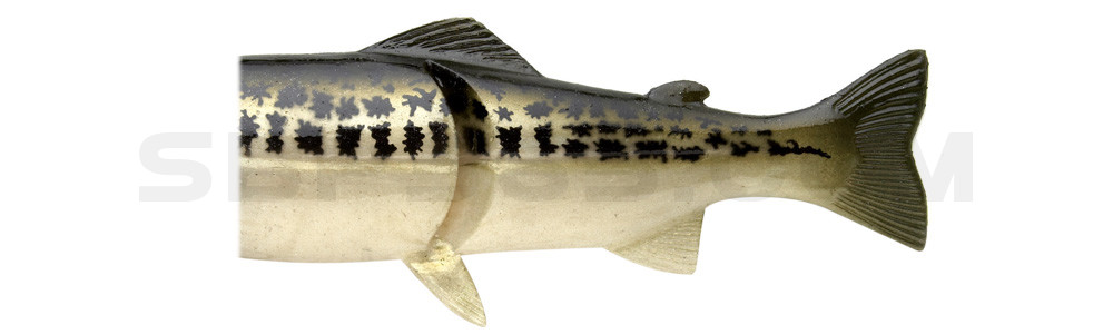 Ersatzkörper für Castaic-Real-Bait - 15cm Baby Bass