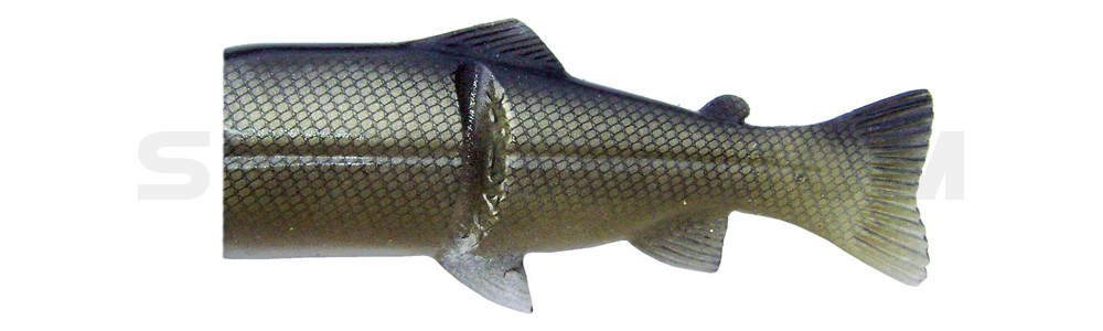 Ersatzkörper für Castaic-Real-Bait - 30,5cm Roach-Gold