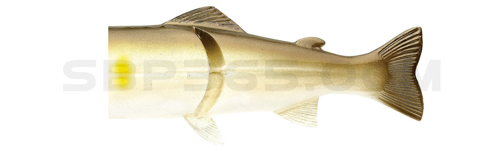 Ersatzkörper für Castaic-Real-Bait - 8" (20cm) AYU