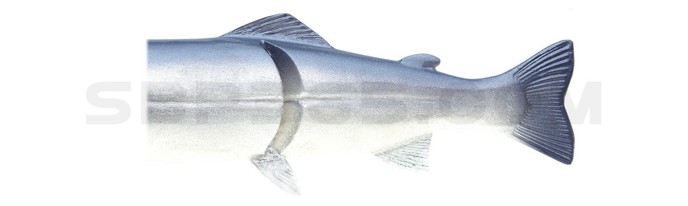 Ersatzkörper für Castaic-Real-Bait - 8" (20cm) Blue Shad