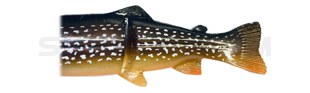Ersatzkörper für Castaic-Real-Bait - 8" (20cm) Northern Pike