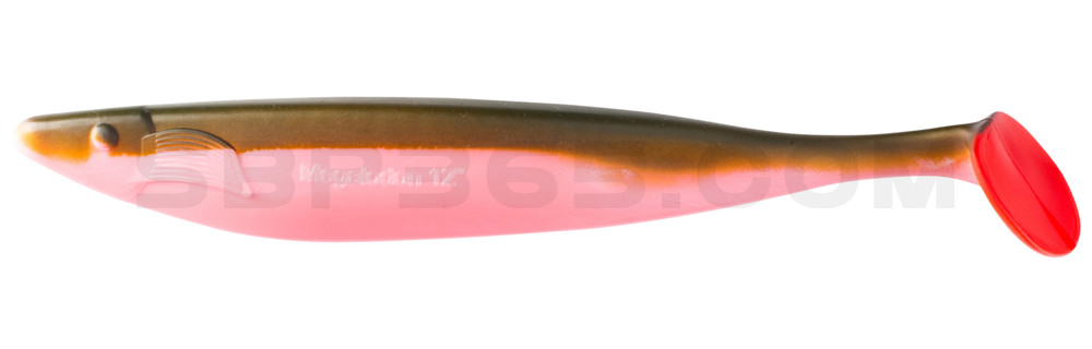 Megalodon 12" (ca. 30,0 cm) bubblegum / boddengrün