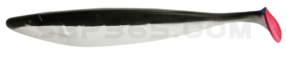 Megalodon 15" (ca. 40,0 cm) reinweiss / schwarz