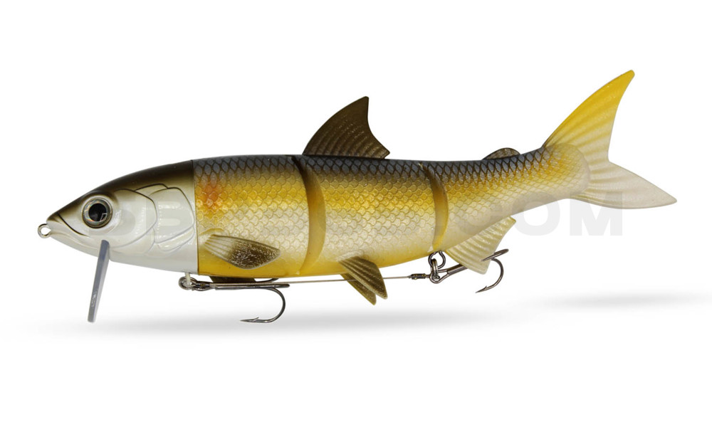 RenkyOne - Hybrid Fishing Lure 10" (ca. 25cm) slow sinking im Hartschalenblister Rudd