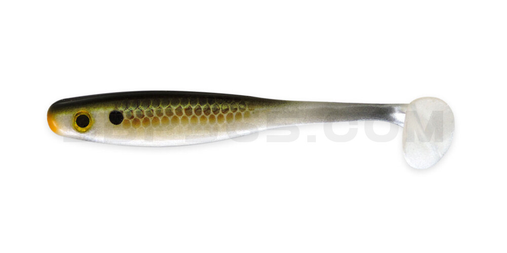 Suicide Shad 5" (ca. 13 cm) im Hartschalenblister Gillateen