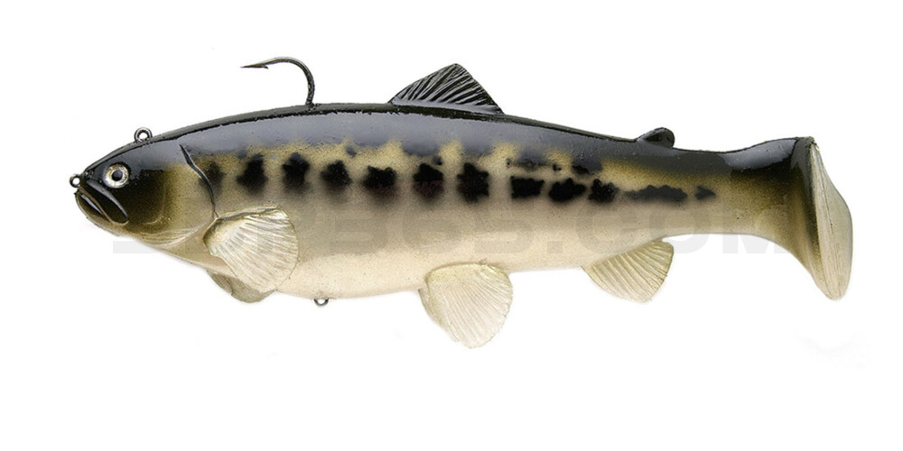 Swim-Bait-Trout - 10" (25cm) sinking Baby Bass