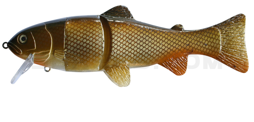 Castaic-Real-Bait - 9" (ca. 23cm) floater im Hartschalenblister Carp