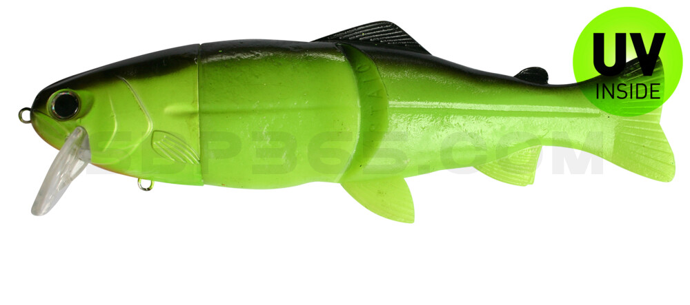 Castaic-Real-Bait - 9" (ca. 23cm) floater im Hartschalenblister Chartreuse