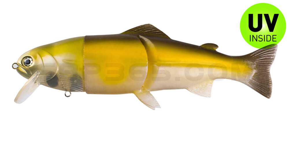 Castaic-Real-Bait - 9" (ca. 23cm) floater im Hartschalenblister Ghost AYU