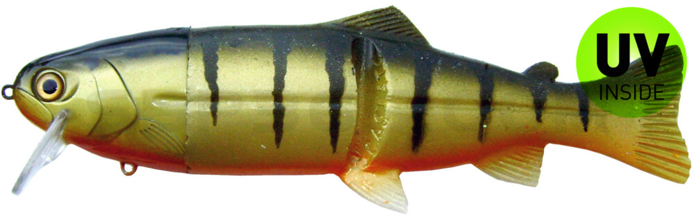 Castaic-Real-Bait - 9" (ca. 23cm) slow sinking im Hartschalenblister Perch-orange