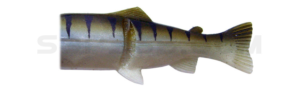 Ersatzkörper für Castaic-Real-Bait - 23cm Zander