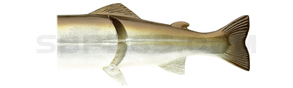 Ersatzkörper für Castaic-Real-Bait - 30,5cm Green Shad