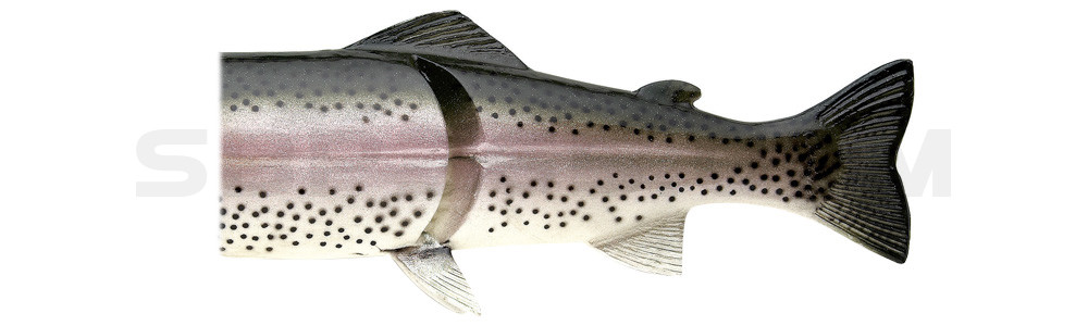 Ersatzkörper für Castaic-Real-Bait - 30,5cm Rainbow-Trout