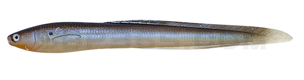 Jerky J EEL 7" (ca. 17,0 cm) Blue Gill