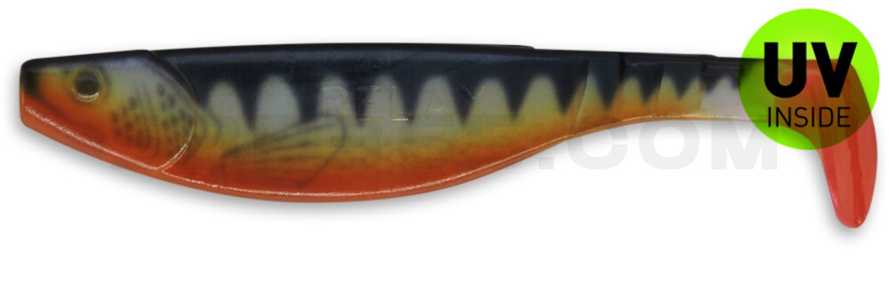 Kopyto-River Nature 6" (ca. 16,0 cm) blauperl / Zander / Bauch: orange / Red Tail