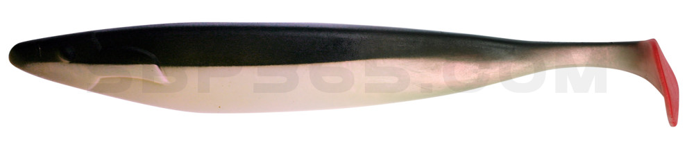 Megalodon 15" (ca. 40,0 cm) perl / schwarz