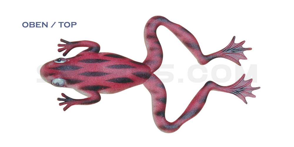 Nature Frog 5" (ca. 11,5 cm) Bauch:perlweiss,Rücken:rotbraun-schwarz gestreift